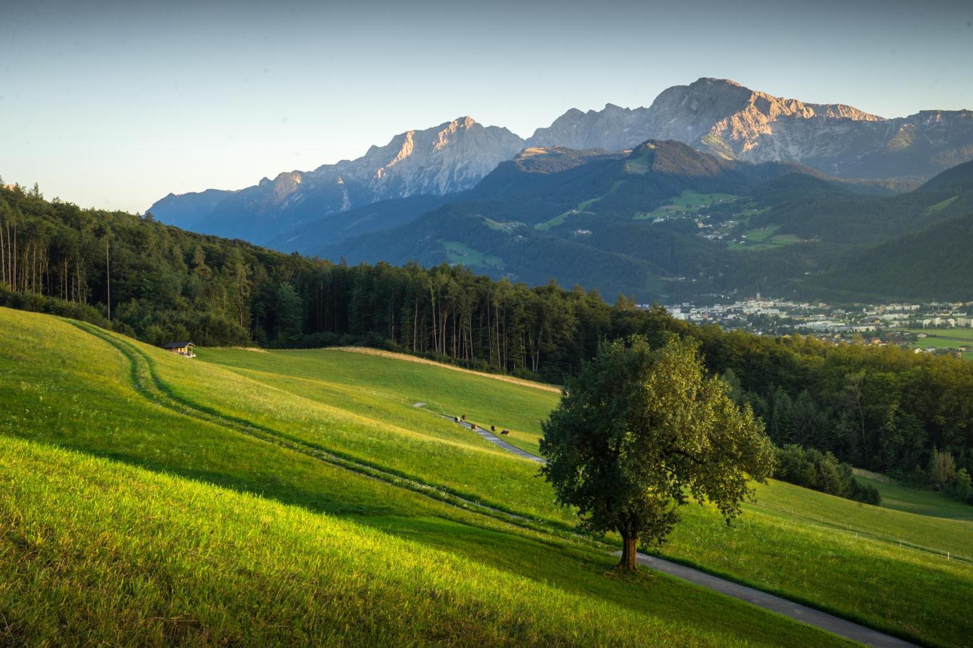 Landhaus Armstorfer Lägenhet Puch bei Hallein Exteriör bild